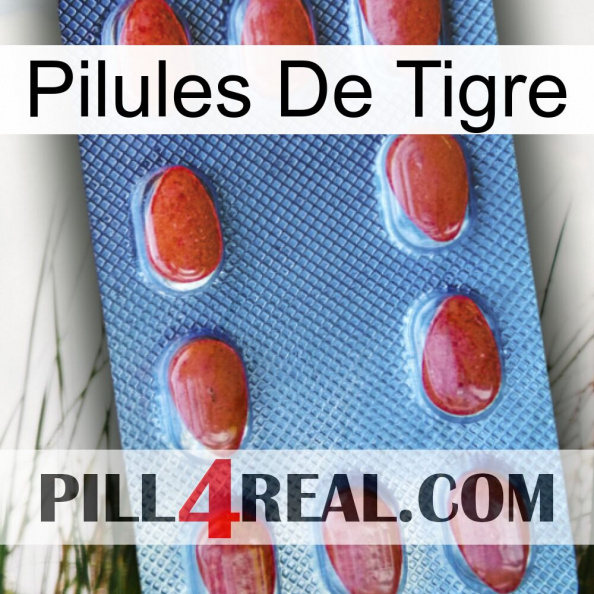 Tiger Pills 06.jpg